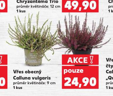 VES OBECN