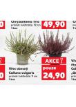 VES OBECN