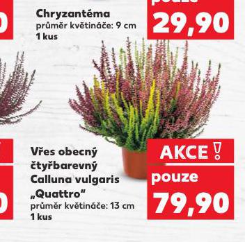 VES OBECN