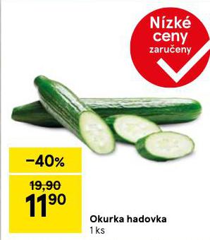 OKURKA HADOVKA