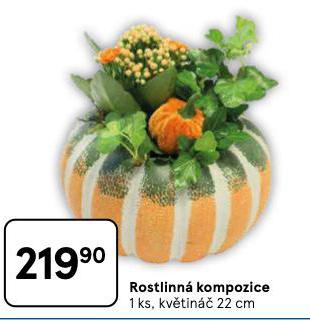 ROSTLINN KOMPOZICE