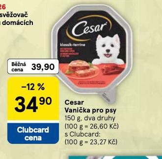 CESAR VANIKA PRO PSY