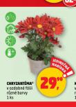 CHRYZANTMA