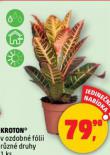 KROTON