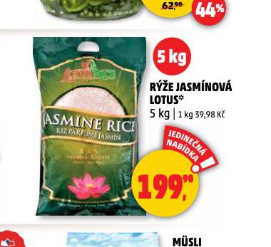 LOTUS JASMNOV RݎE