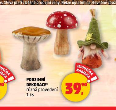 PODZIMN DEKORACE