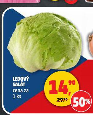 LEDOV SALT