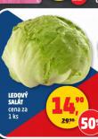 LEDOV SALT