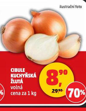 CIBULE KUCHYSK LUT
