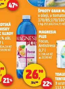 MAGNESIA PLUS