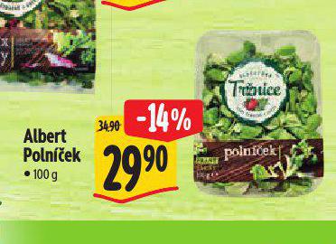 POLNEK