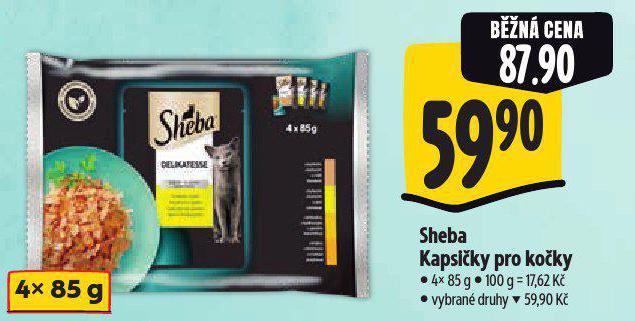 SHEBA KAPSIKY PRO KOKY