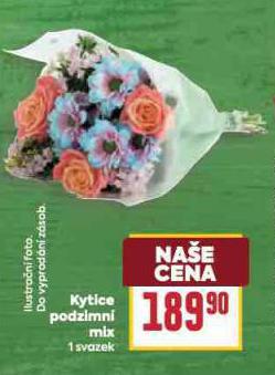 KYTICE PODZIMN MIX