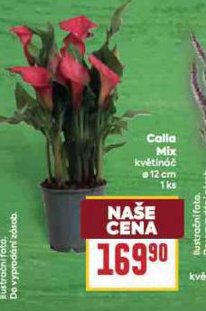 COLIA MIX