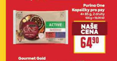 PURINA ONE KAPSIKY PRO PSY