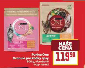PURINA ONE GRANULE PRO KOKY I PSY