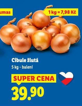 CIBULE LUT