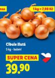 CIBULE LUT