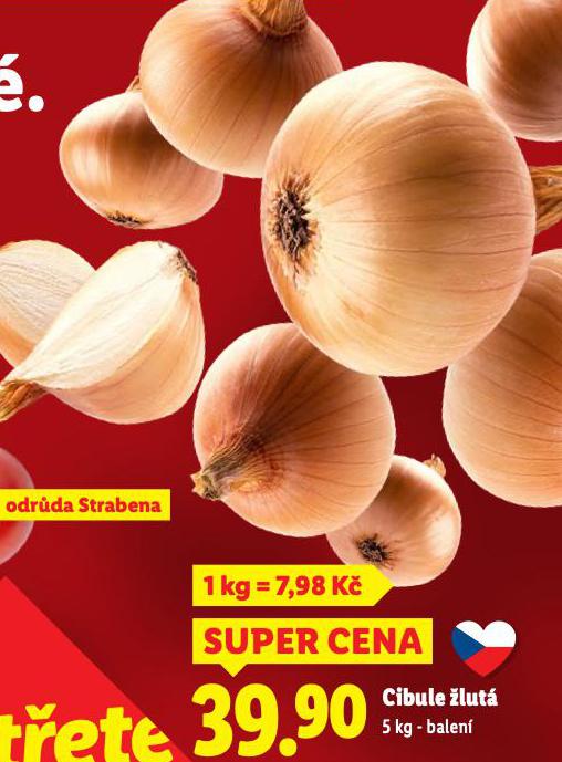 CIBULE LUT