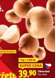 CIBULE LUT