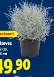 DRTOVEC