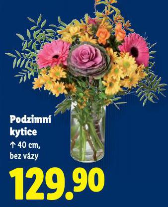 PODZIMN KYTICE