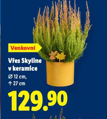 VES SKYLINE V KERAMICE