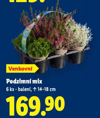 PODZIMN MIX