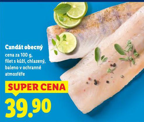 CANDT OBECN