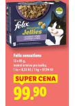 FELIX SENSATIONS