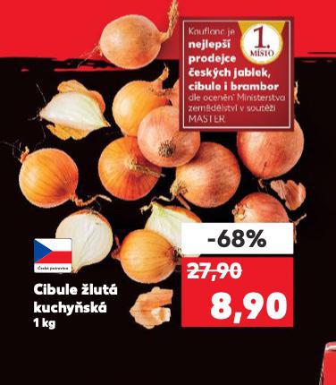 CIBULE KUCHYSK LUT