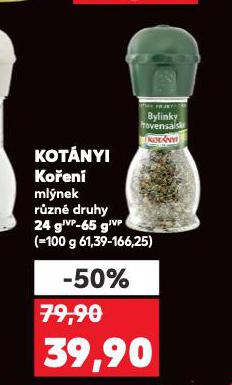 KOTNYI KOEN