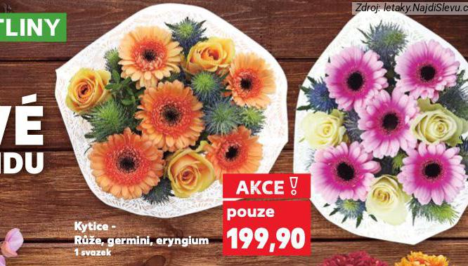 KYTICE GERMINI