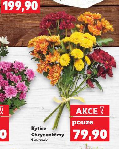 KYTICE CHRYZANTMY