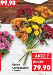 KYTICE CHRYZANTMY