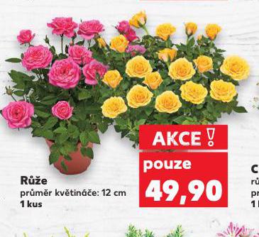 RَE