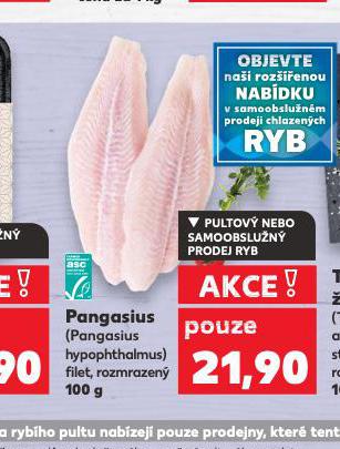 PANGASIUS