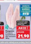 PANGASIUS