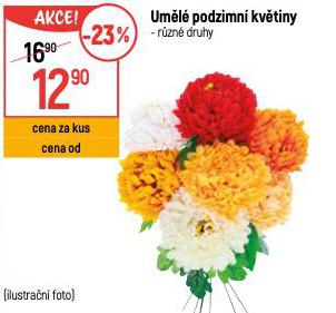 UML PODZIMN KVTINY