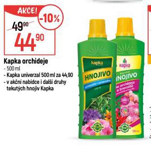 KAPKA ORCHIDEJE