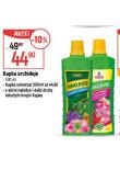 KAPKA ORCHIDEJE