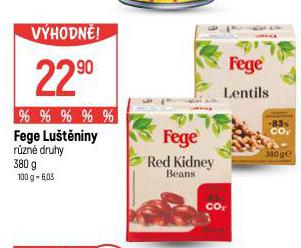 FEGE LUTNINY