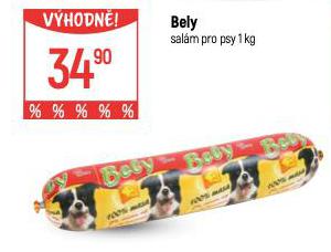 BELY SALM PRO PSY