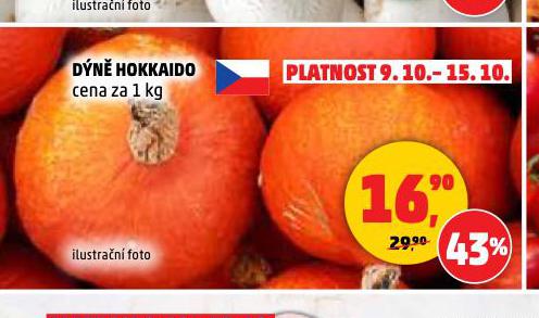 DN HOKKAIDO