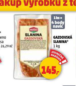 GAZDOVSK SLANINA