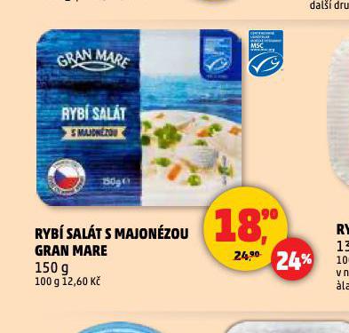 RYB SALT S MAJONZOU