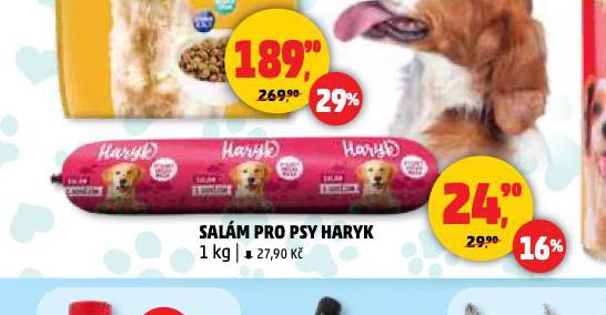 HARYK SALM PRO PSY