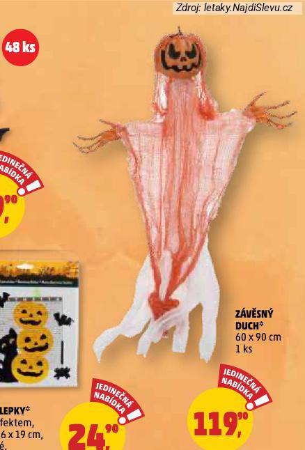 ZVSN DUCH