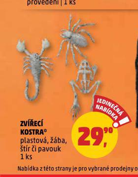 ZVEC KOSTRA