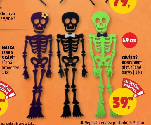 ZVSN KOSTLIVEC